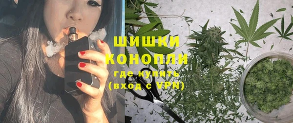 стаф Абаза