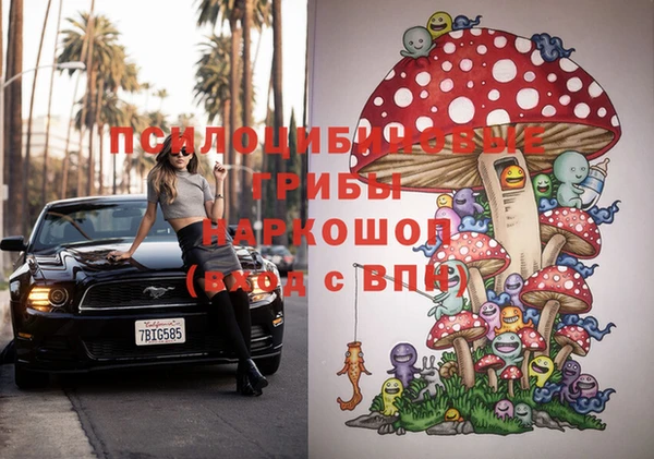 гашик Нея