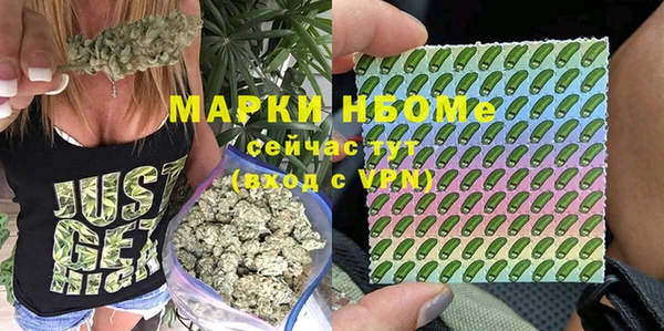 стаф Абаза