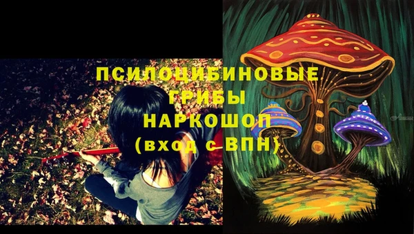стаф Абаза